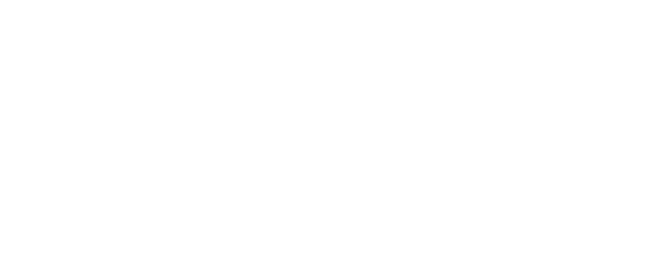 Auto Mobile Group PTY LTD